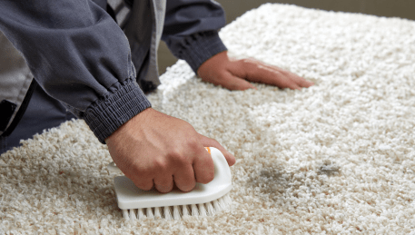 Professional Rug Cleaning Cockatoo